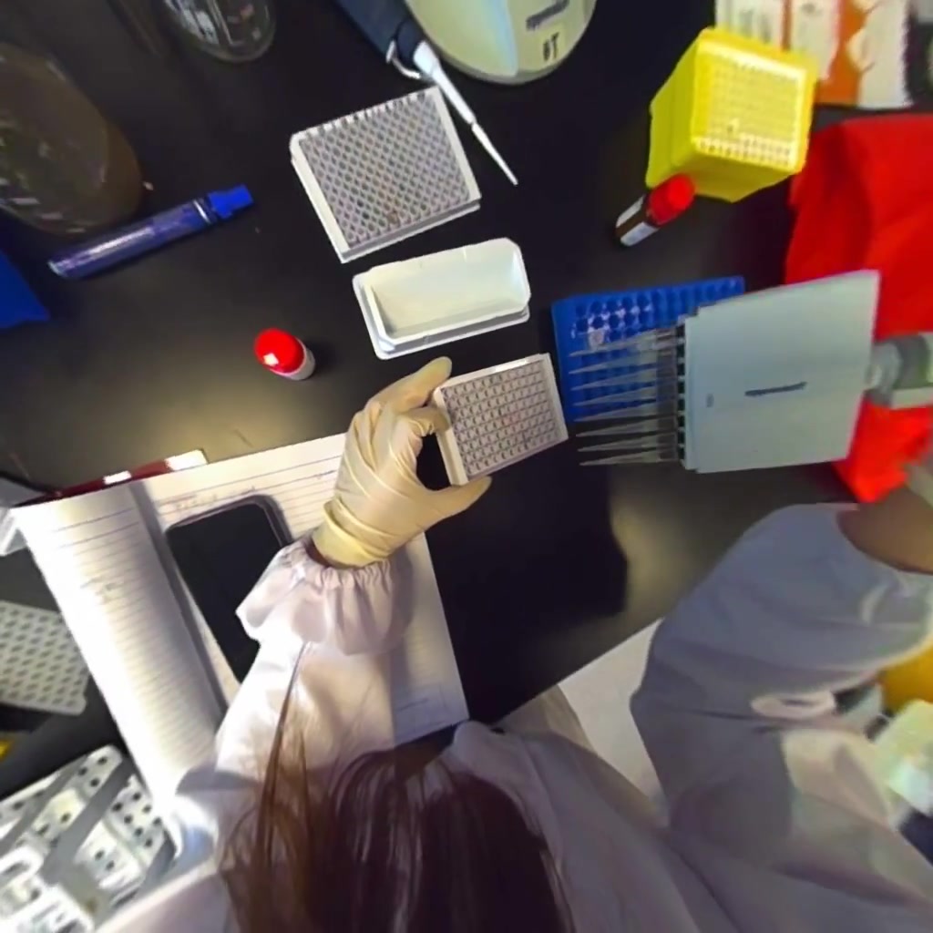 First-person laboratory scene using a multichannel pipette